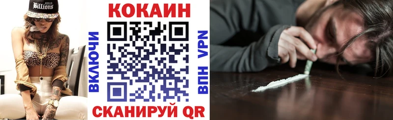 ссылка на мегу как войти  Скопин  COCAIN FishScale  закладки 