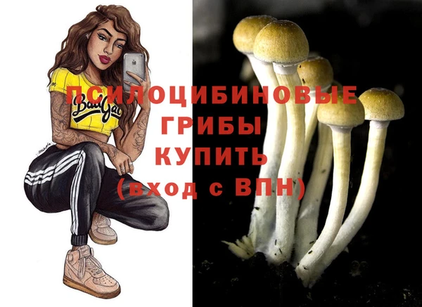 сатива Абдулино
