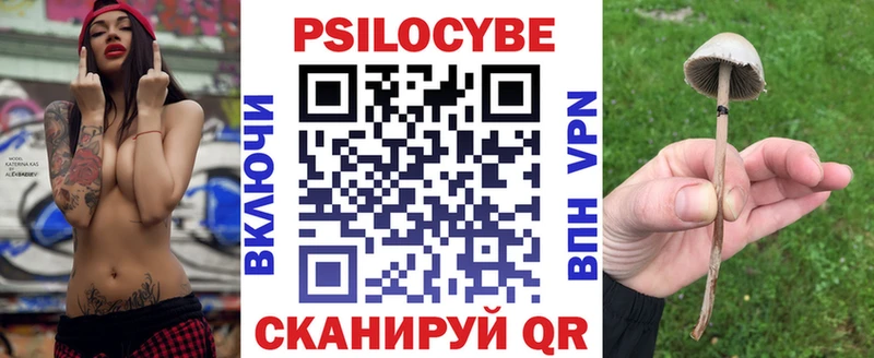 Псилоцибиновые грибы Psilocybe  Скопин 