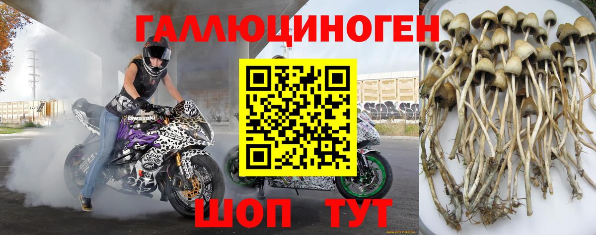 Псилоцибиновые грибы ЛСД  Вход с VPN  Скопин 