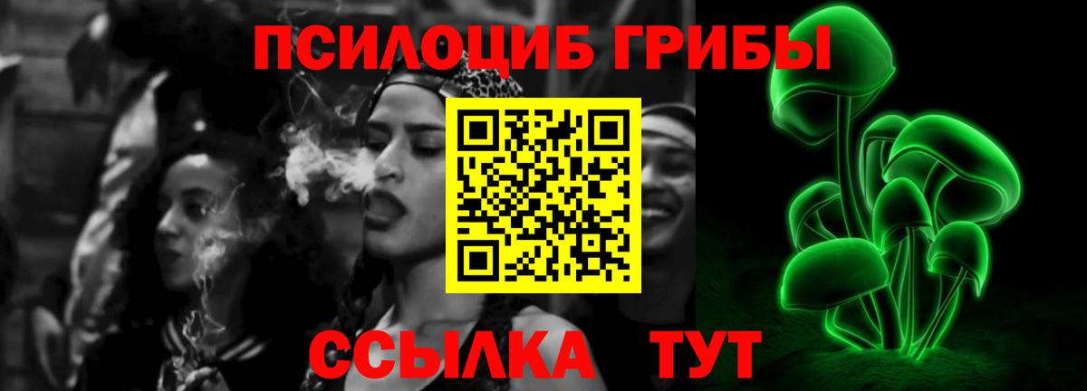 Псилоцибиновые грибы мицелий Скопин